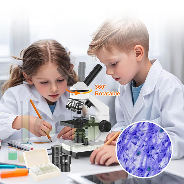 Microscope Suppliers