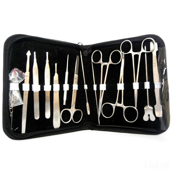 Dissecting Set