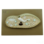 Paramecium Model
